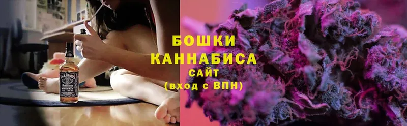 Бошки Шишки OG Kush  купить  цена  Нелидово 